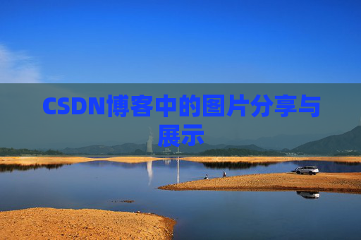 CSDN博客中的图片分享与展示